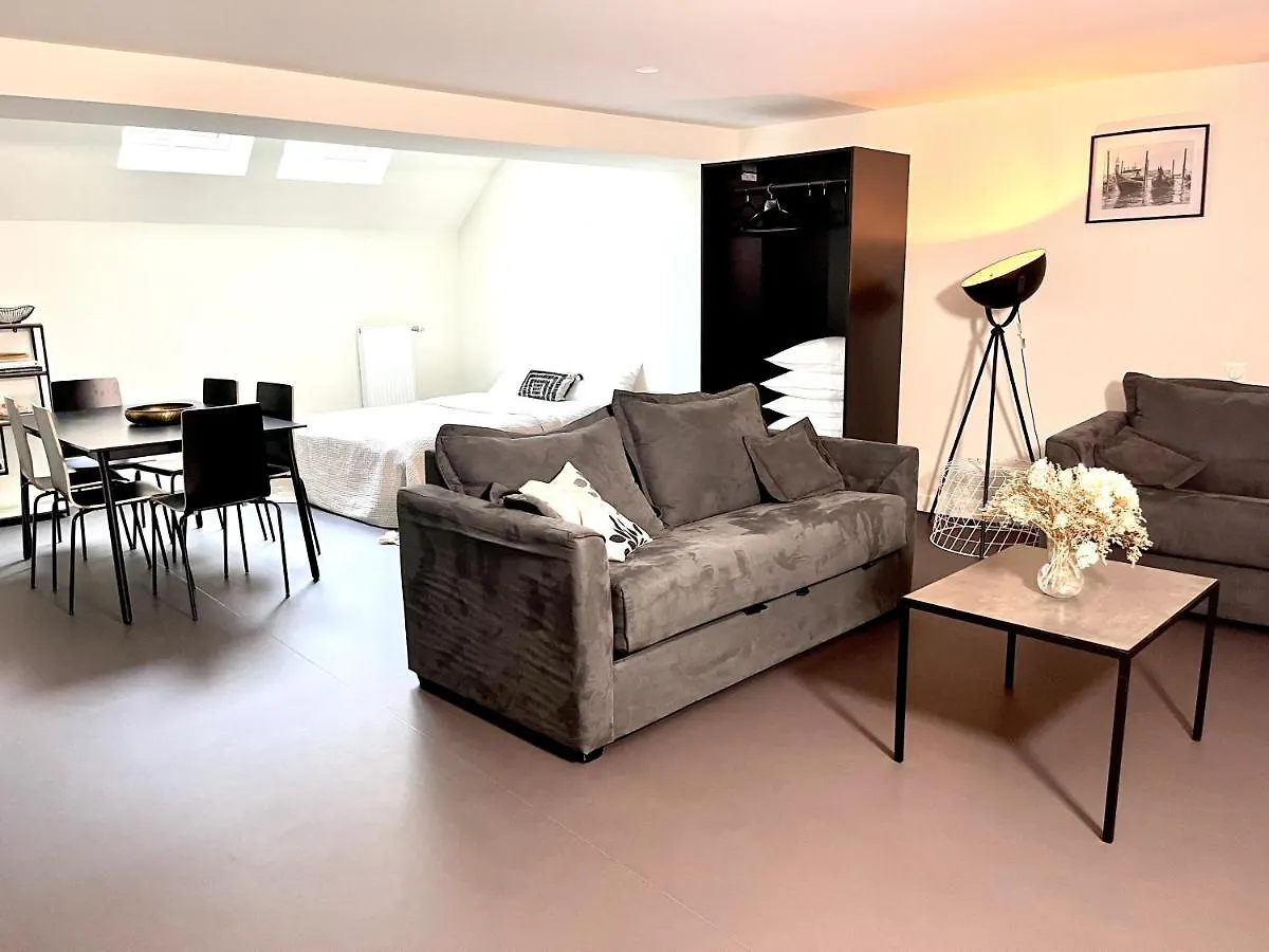 Residence Du Mole Annemasse 0*,